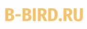 b-bird.ru